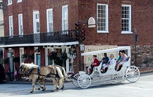 Pumpkin Seeds Boutique & Carriage Ride